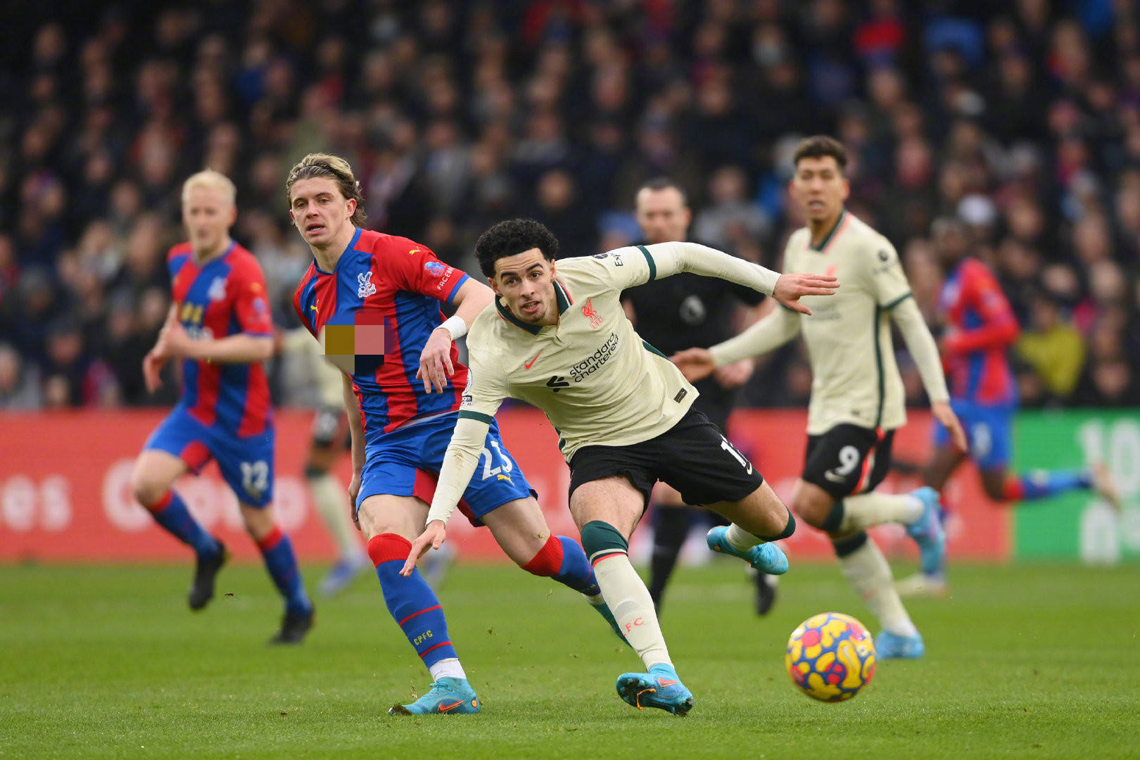 综合考虑双 综合考虑双