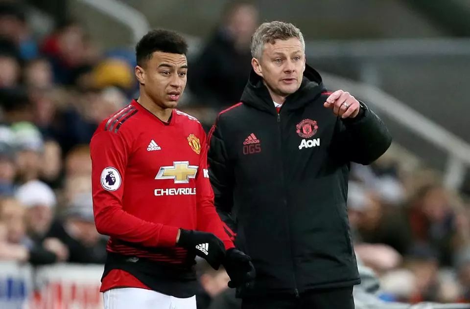 头灯或者小 头灯或者小